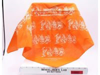 Orange Bandana Membership Club 1988 Teenage Mutant Ninja Turtles TMNT