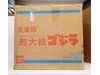 Godzilla Aizo Version Super Big Scale Monster W/Box 1994 Bandai 23in Figure