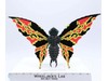 Battora Complete Godzilla vs. Mothra 1992 Bandai 14" Wingspan Action Figure