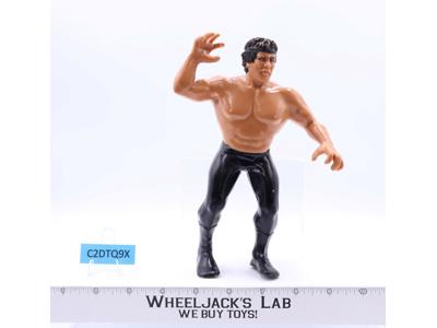 Ricky The Dragon Steamboat 8" WWF Wrestling Superstars 1986 LJN Titan Sports