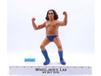 Andre The Giant Long Hair 1984 WWF LJN Titan Sports 8" Wrestling Superstars