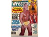 WWF Lot of 6 Sports Review Wrestling Magazine 1991 Hogan Undertaker Luger