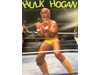 WWF Lot of 6 Wrestling World Magazine 1992 1993 1995 w/ Posters HULK HOGAN