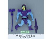 Skeletor 100% Complete He-Man Masters of the Universe MOTU 1982 Mattel Vintage