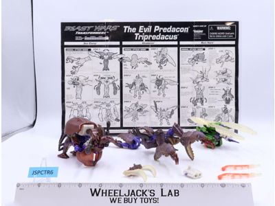 Tripredacus 100% Complete Transformers Beast Wars 1997 Hasbro Action Figure
