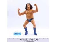Andre The Giant Long Hair 8" Wrestling Superstars WWF 1984 LJN Titan Sports