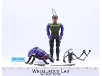 Waspax & Wingid Sectaurs Warriors of Symbion Coleco 1984 Vintage Action Figure
