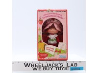 Strawberry Shortcake from Strawberry Shortcake 1982 Kenner Doll NEW SEALED