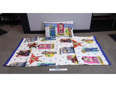WWF Wrestling Twin Bedding Set Pillowcase + Blanket 1991 Titan Sports