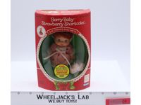 Berry Baby Strawberry Shortcake 1984 Kenner Vintage NEW MISB