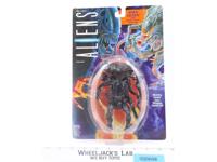 Queen Alien W/ Hatchling Aliens 1992 Kenner Action Figure NEW MOSC SEALED