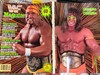WWF Magazine Complete Set 1990 Hogan Big Boss Barber Macho Man Legion Warrior