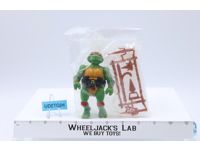 Raphael Sears MAIL AWAY Teenage Mutant Ninja Turtles TMNT Playmates NR MINT
