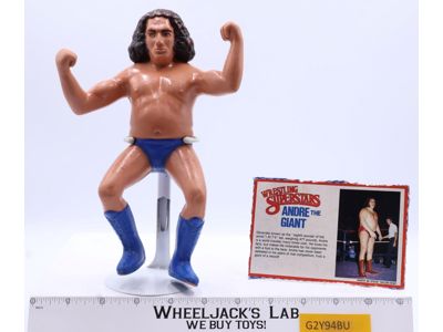 Andre The Giant Long Hair 8" Wrestling Superstars WWF 1984 LJN Titan Sports