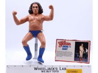 Andre The Giant Long Hair 8" Wrestling Superstars WWF 1984 LJN Titan Sports
