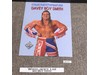WCW Collector's Portrait #20 Davey Boy Smith The British Bulldog Vintage Poster