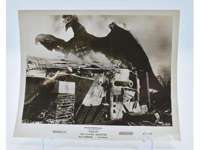 Rodan The Flying Monster 1956 Sci-Fi Movie Still Black & White 8x10 Photograph