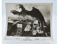 Rodan The Flying Monster 1956 Sci-Fi Movie Still Black & White 8x10 Photograph