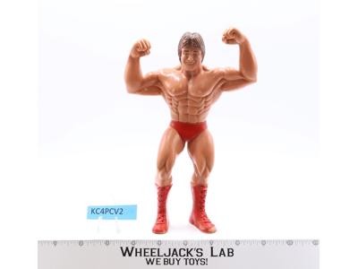 Paul Mr. Wonderful Orndorff 1985 WWF LJN Titan Sports 8" Wrestling Superstars