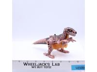 Dinobot Raptor 100% Complete Deluxe Class Transformers Beast Wars 1996 Hasbro