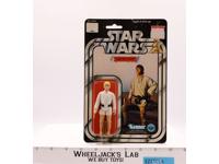 Luke Skywalker Farmboy 12 Back-C Star Wars 1977 Kenner Figure NEW MOSC SEALED
