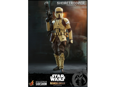 TMS031 Shoretrooper Star Wars The Mandalorian Hot Toys 1/6 Figure NEW SEALED