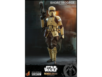 TMS031 Shoretrooper Star Wars The Mandalorian Hot Toys 1/6 Figure NEW SEALED