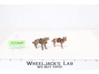 Medical Dogs (2) Elastolin Germany Pre WWII Alsatian First Aid Kit Composition