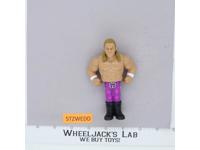 Triple H WWE Retro 2017 Series 2 Mattel Wrestling Action Figure 4.5"