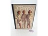 JC Penney Hardcover STORE COPY Spring / Summer 1974 Advertising Catalog Vintage