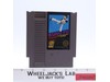 Kung Fu Nintendo NES 1984 Tecmo Video Game Cartridge ONLY