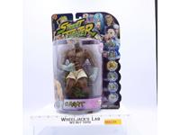 Sagat Round 2 Street Fighter Alpha 3 2000 Resaurus CAPCOM 8"  MOSC NEW