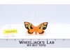 Mothra The Rebirth of Mothra 1996 Bandai 3.25" Wingspan Mini Action Figure