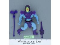 Skeletor 100% Complete He-Man Masters of the Universe MOTU 1982 Mattel Vintage