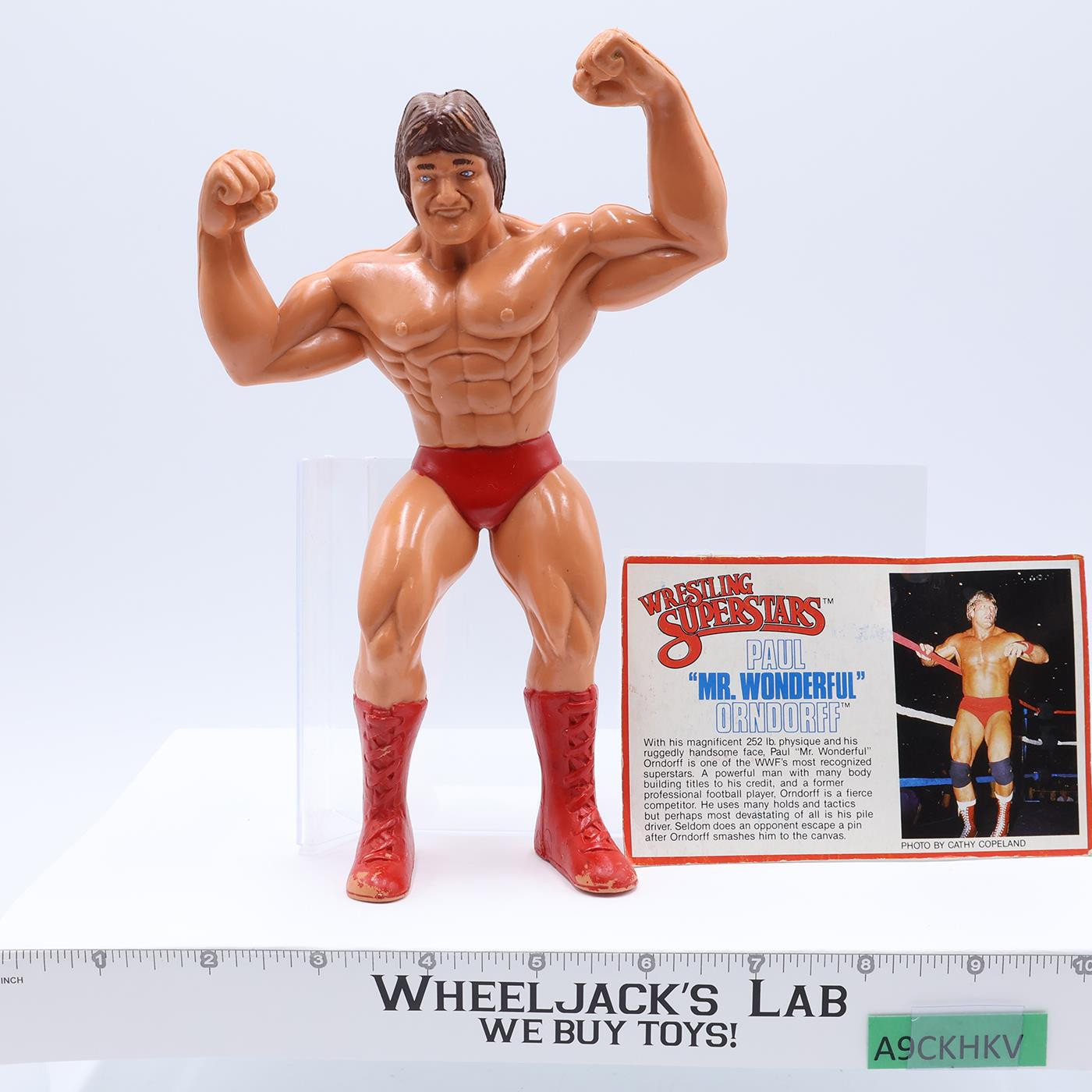 Paul Mr. Wonderful Orndorff 1985 WWF LJN Titan Sports 8" Wrestling Superstars