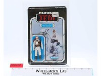 Luke Skywalker Hoth CAS GRADED 80 80/85/85 Star Wars ROTJ 65 Back-A 1983 Kenner