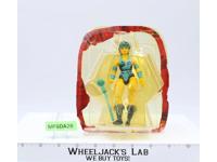 Evil Lyn Masters of the Universe MOTU 1983 Mattel Action Figure NEW MINT