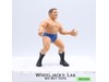Bruno Sammartino #1 1986 WWE LJN Titan Sports 8″ Wrestling Superstars