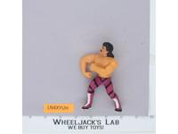 Ravishing Rick Rude 100% Complete WWF WWE Wrestling 1990 Hasbro Titan Sports
