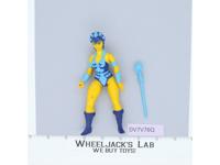 Evil Lyn 100% Complete He-Man Masters Of The Universe MOTU 1983 Mattel Vintage