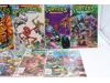 Lot of 16 Teenage Mutant Ninja Turtles Comic Books Archie Comics Issues 25-40