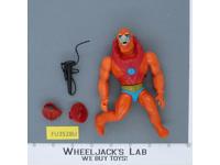Beast Man 100% Complete He-Man Masters of the Universe MOTU 1982 Mattel Vintage