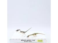Coelophysis JP04 Sprinters Jurassic Park 1992 Kenner Action Figure