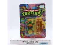 Raphael Teenage Mutant Ninja Turtles TMNT 1988 Playmates 10 BACK MOSC UNPUNCHED