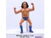 Andre The Giant Long Hair 8" Wrestling Superstars WWF 1984 LJN Titan Sports