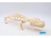 Battle Bones Complete He-Man Masters of the Universe MOTU 1985 Mattel Vehicle