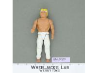 Dragon Force Karate Ninja Master Lanard 1985 Vintage Action Figure
