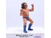 Andre The Giant Long Hair 8" Wrestling Superstars WWF 1984 LJN Titan Sports