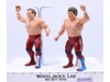 British Bulldogs Dynamite Kid Davey Boy WWF 1986 LJN Titan Sports 8" Wrestling