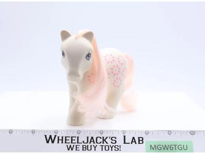 Sundance Twice as Fancy Pony G1 My Little Pony MLP 1985 Hasbro Vintage